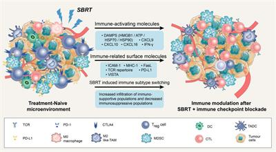 Frontiers Neoadjuvant Sbrt Combined With Immunotherapy In Nsclc From